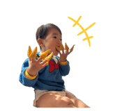 833304559