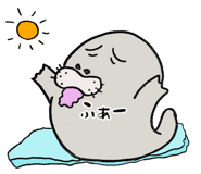 833306037