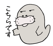 833306043