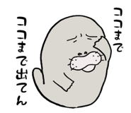 833306054