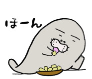 833306062