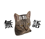 833307909
