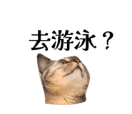 833307916