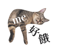 833307919
