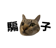 833307931