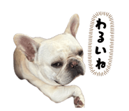 833308843