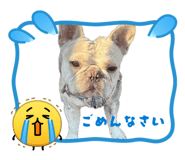 833308844