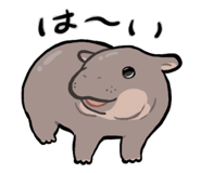 833314113
