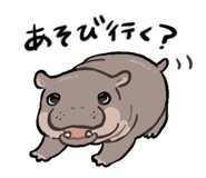 833314126