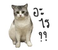 833315492