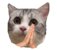 833315498