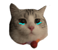 833315500