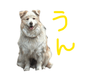 833323826