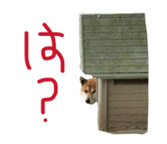 833323828