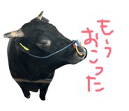 833323830