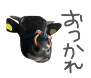 833323831