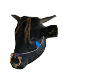 833323832