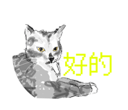 833331596