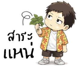 ลายที่ 31