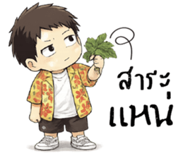 ลายที่ 47