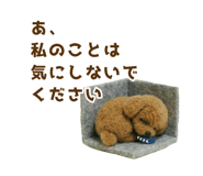 833339699