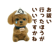 833339715