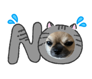 833341239