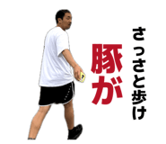 833342429