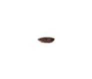 833347475
