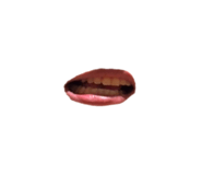 833347486