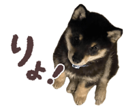 833349009