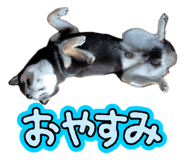 833349012