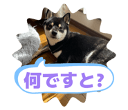 833349015