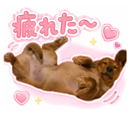 833356328