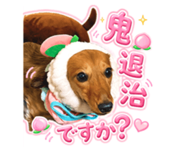833356336
