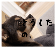 833356482