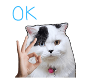 833362204