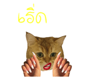833362206