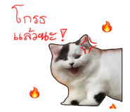 833362207