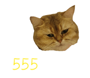833362215