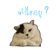 833362216