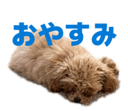 833365692