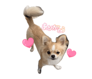 833366804