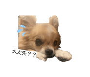 833366805