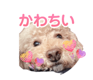 833368335
