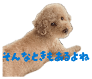 833368336