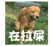 833373269
