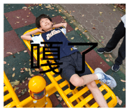 833373616