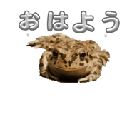 833376307