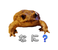 833376308
